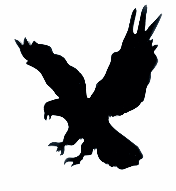 Capture D Cran 2024 07 17 12 01 41