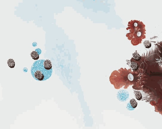 Yamou La peau du monde