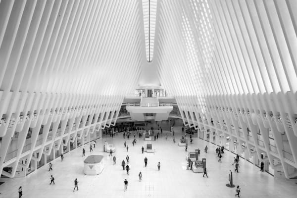 Metropolis Chronicles: Capturing Urban Architecture and Humanity