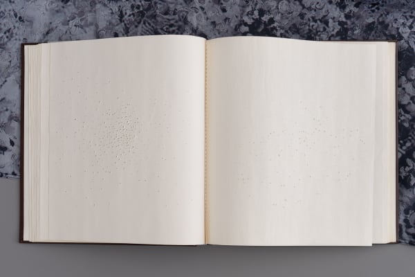 Magdalena Pelmuș Traces, 2018 Perforated notebook