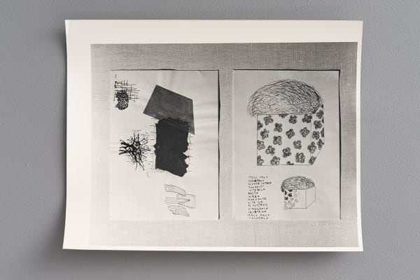 Pavel Ilie Estate Archive photography with Pavel Ilie's work