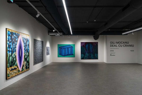 Exhibition view Gili Mocanu: Hill with Skull. Curated by Mihnea Mircan