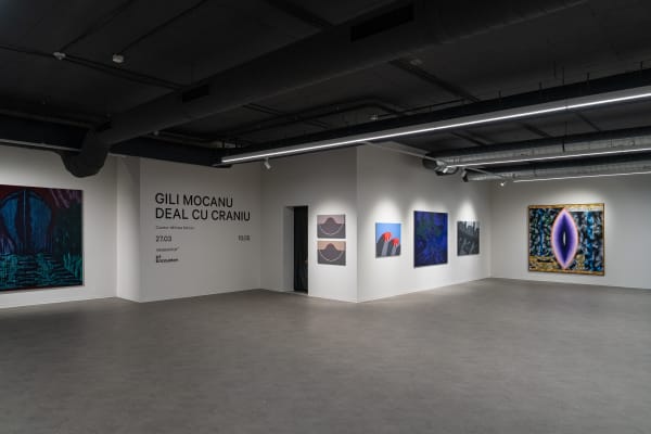 Exhibition view Gili Mocanu: Hill with Skull. Curated by Mihnea Mircan