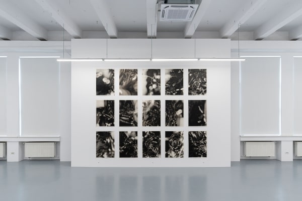 Am Tigruletigrule 06 26 Web Dsc00260