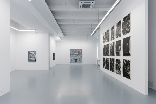 Am Tigruletigrule 06 26 Web Dsc00277