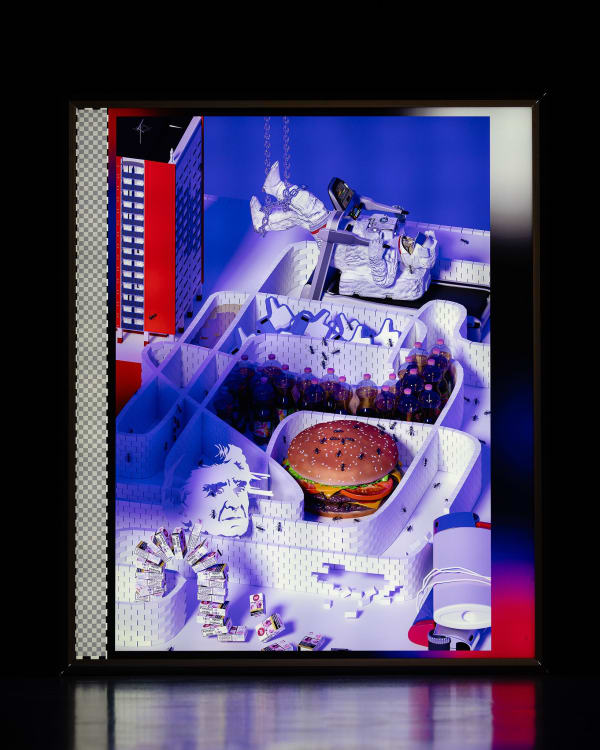 Am Tigruletigrule 06 26 Web Dsc00812