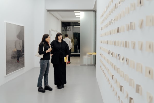 Răzvan Neagoe Sinegrafia press release in Modernism.ro
