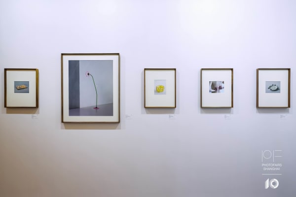 54B2Ed600564643957Cb83644F423C3A