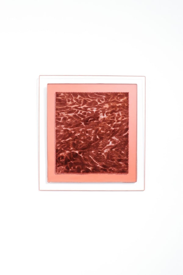 Serena Huang - As he flew across the sinking tree, the golden dragon felt an itch on his back, 2024