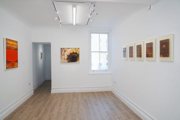 Jin Han Amber Nebulae