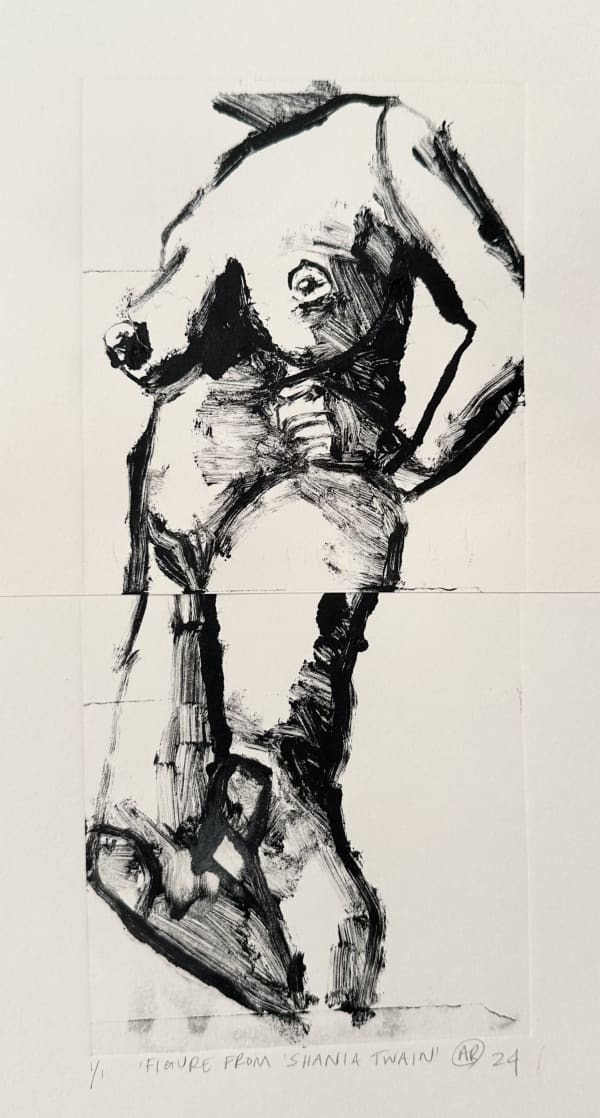 Abi Birkinshaw, Figure from Shania Twain