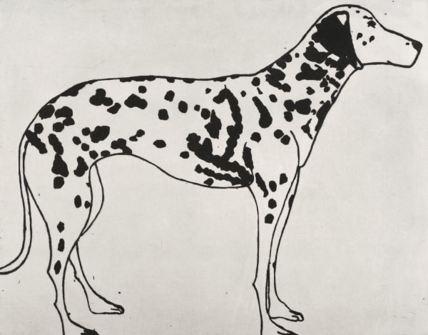 Kate Boxer, Dalmatian