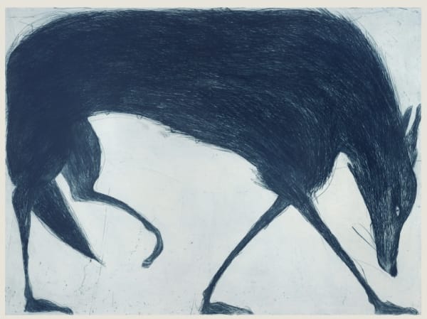 Kate Boxer, Blue Wolf