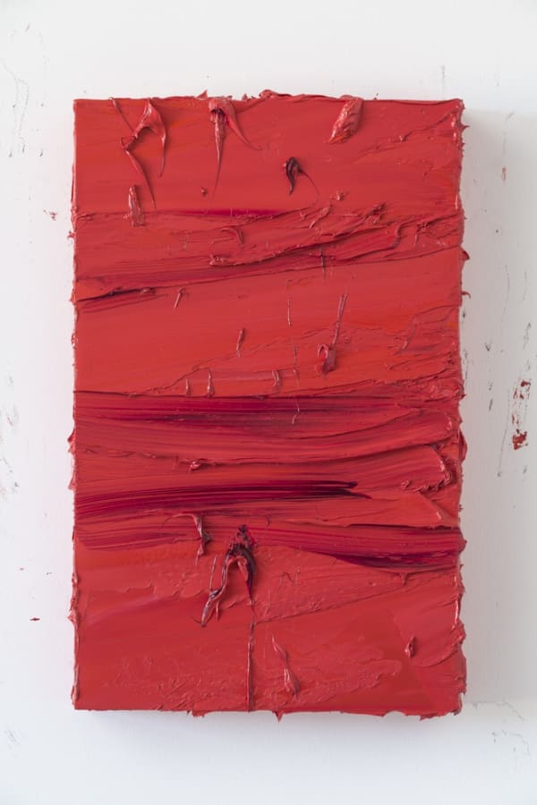 Untitled Madder Carmine Brilliant Pink 2017 Oil On Aluminium 65X41Cm Dsc 3069