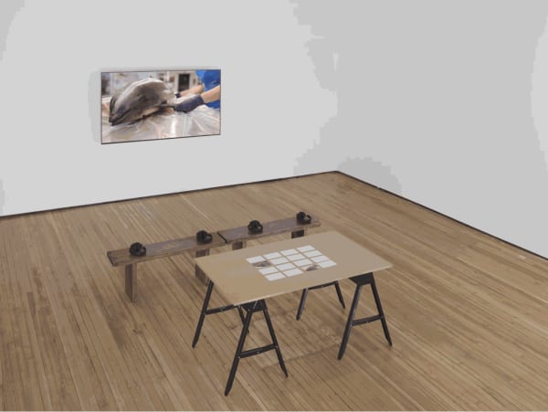 Patty Chang: Touch Archive