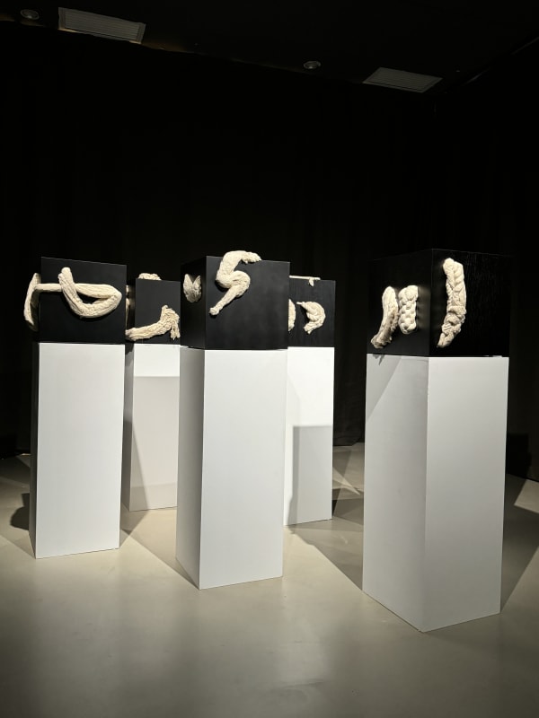 Shi Hui @Being Art Museum, Pudong, Shanghai