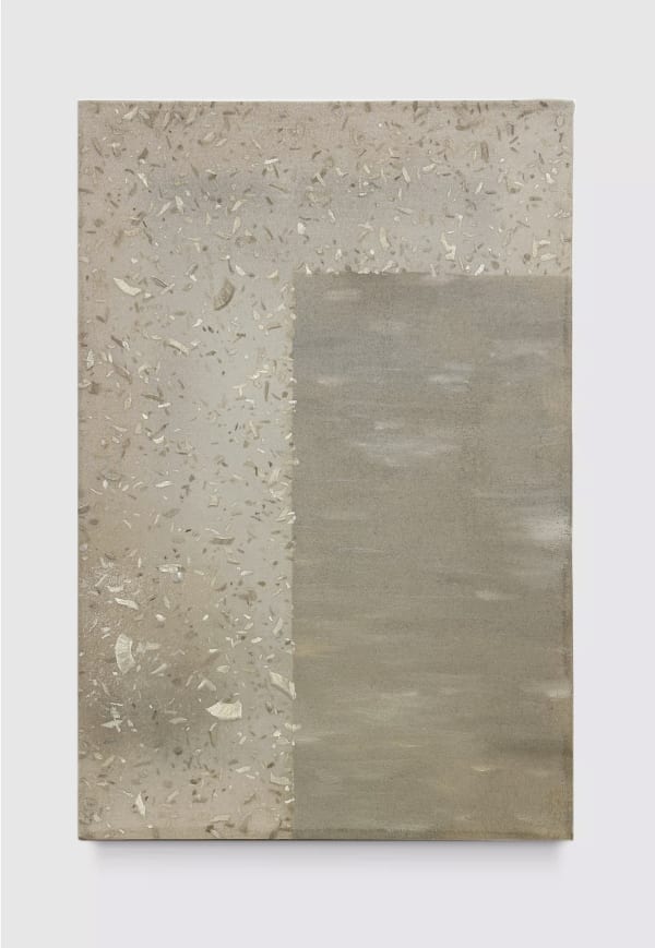 Chen Ruofan 陈若璠 Dust (still frame 368F) 尘 (静帧368F)