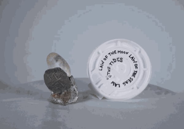 Patty Chang & David Kelley, Stray Dog Hydrophobia, 2023. Image courtesy of the artists