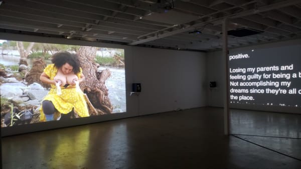 Installation view, Patty Chang's Milk Debt, ©️ 18th Street Arts Center