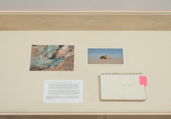 Installation view, Patty Chang, The Wandering Lake 2009-2017, ICA LA.