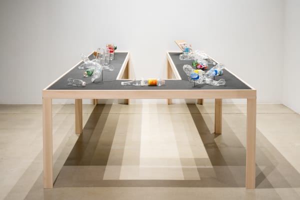 Installation view, Patty Chang, The Wandering Lake 2009-2017, ICA LA.