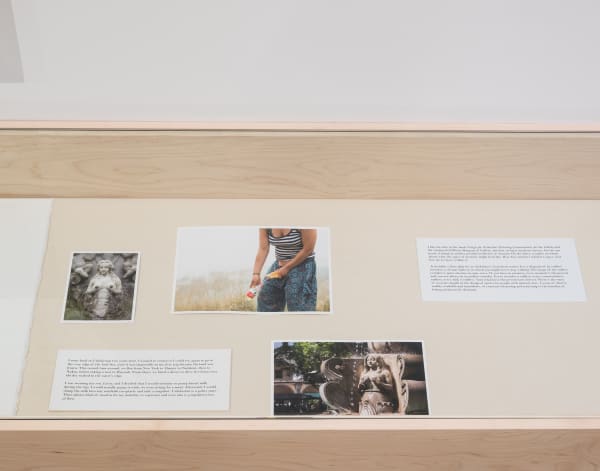 Installation view, Patty Chang, The Wandering Lake 2009-2017, ICA LA.