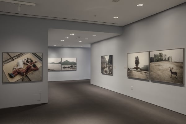 "Flotsam Jetsam / Patty Chang and David Kelley", 2014 ©️ MoMA