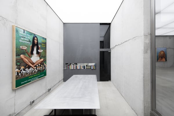 Installation view of Tim Crowley's solo exhibition 柯好理个展现场, 2025 ©SIMULACRA