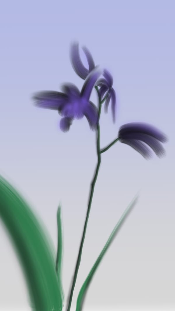 Wang Rui, Orchid, 2017, Digital drawing on ipad, 720 x 281 px. Courtesy of BANK and the artist 王芮《兰》，2017，数码绘画，720 x 281 像素。图片归属BANK及艺术家