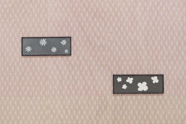 Wang Rui, Freedom, Innocence, Autumn Ying, Fireworks and Dimension 15x42cm, 2024 (Detail) 王芮《自由，纯真，秋英，烟花和15x42cm的尺寸》，2024（细节）