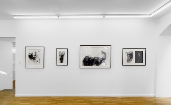 Clermont-Ferrand exposition 2024 Roland Cognet Coraline de Chiara Alain Josseau Judith Grassl Natacha Lesueur Laurent Pernot Erik Schmidt Nils-Udo art contemporain exposition de groupe vue d'exposition