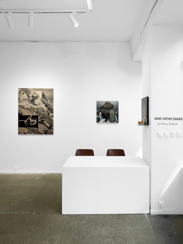 Anne Sophie Emard La Fl Tiste Borgne Galerie Claire Gastaud Paris 2025 4