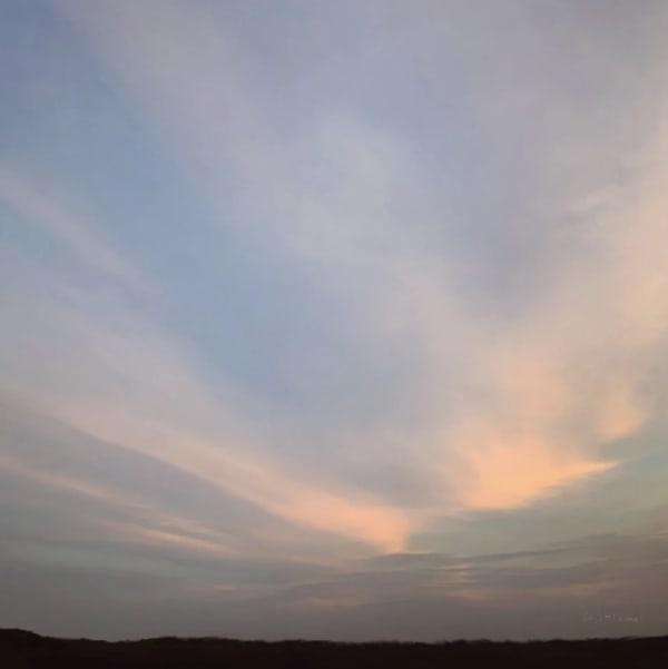 Don Scott Macdonald - Animas, 2025