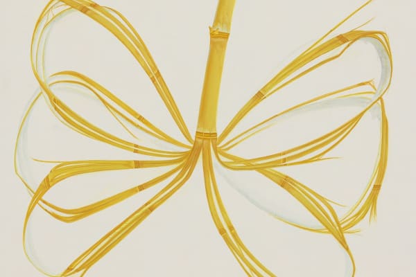 吳笛笛 WU Didi - 共同體