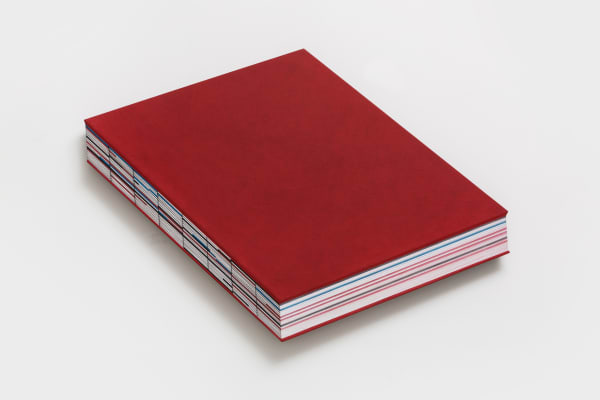 HANG Chunhui, Message Obscured by Form-No.4