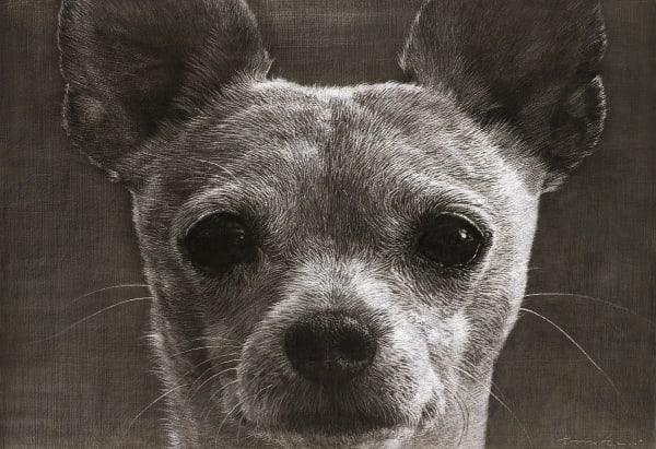 韩永旭（汉永旭） Han Young-wook, Face