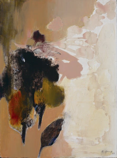 杨识宏 Yang Chihung, 灿烂之后