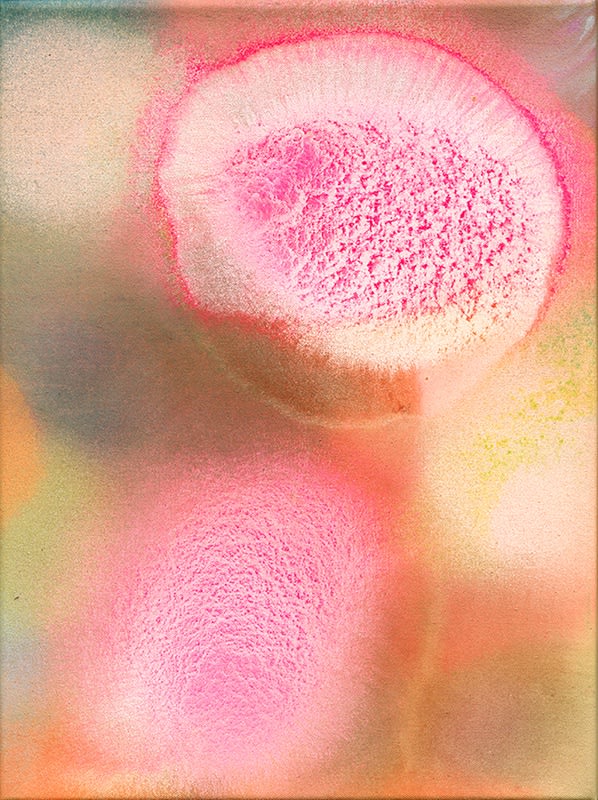 Emma Stone-Johnson, Fast Slow Disco