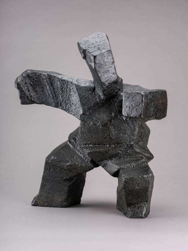 朱铭 JU MING, 太极系列