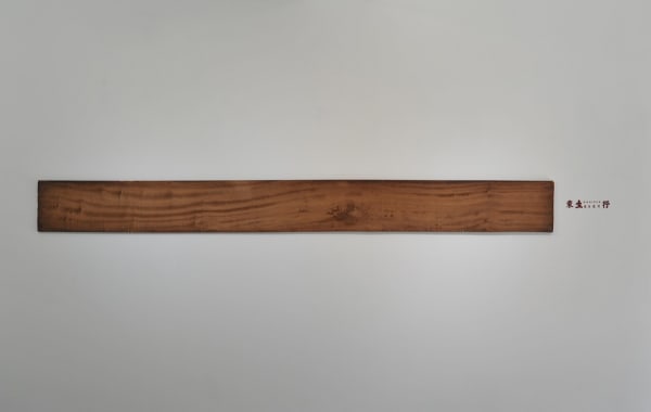 高俊宏 Kao Jun-Honn, 《大豹：温带的边界》系列「东生五金建材行的樟木板」