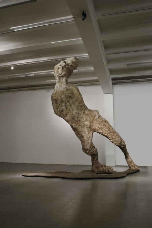 李真 LI CHEN, 橡皮人