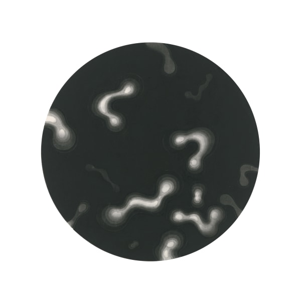 CHEN Qi, Notations of Time No.17