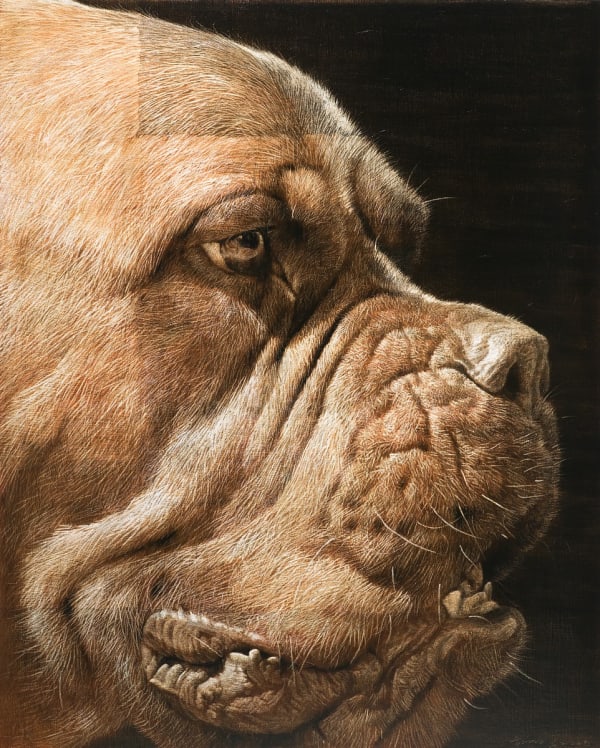 韩永旭（汉永旭） Han Young-wook, Face