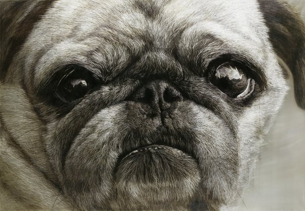 韩永旭（汉永旭） Han Young-wook, Face