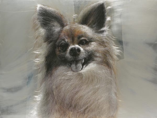 韩永旭（汉永旭） Han Young-wook, Face