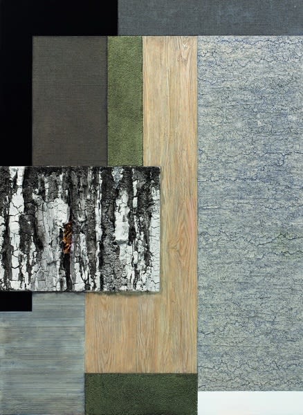 应天齐 Ying Tianqi, 遭遇蒙德里安之二十一