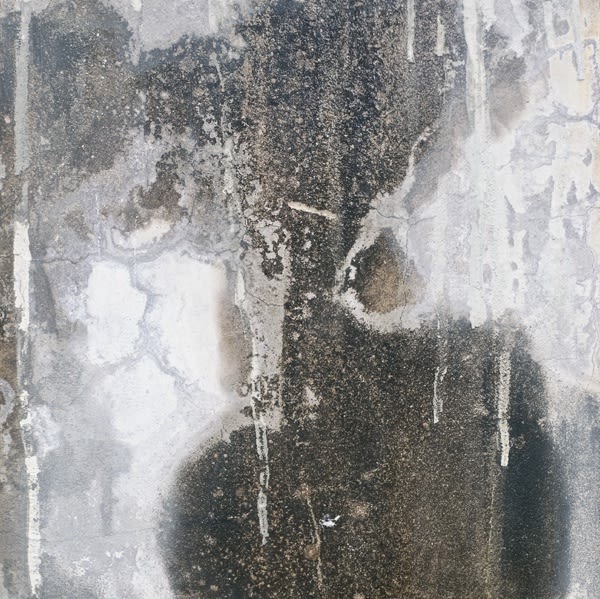 HAN Hsiang-Ning, The Rain Not Ink 16