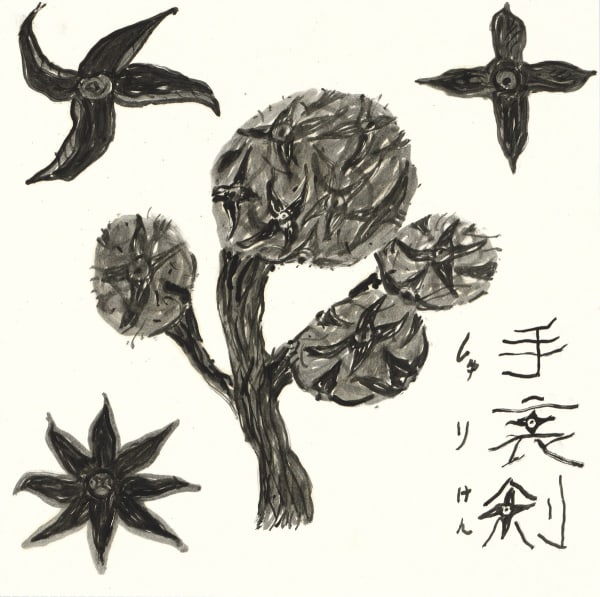 萧其珩 XIAO Qi-Heng, 手里剑