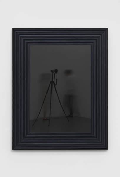 HANG Chunhui, In-Definite Reproduction 2019-2