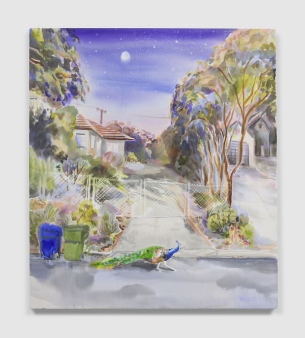 Michelle Blade, Morning Rituals (Peacock)